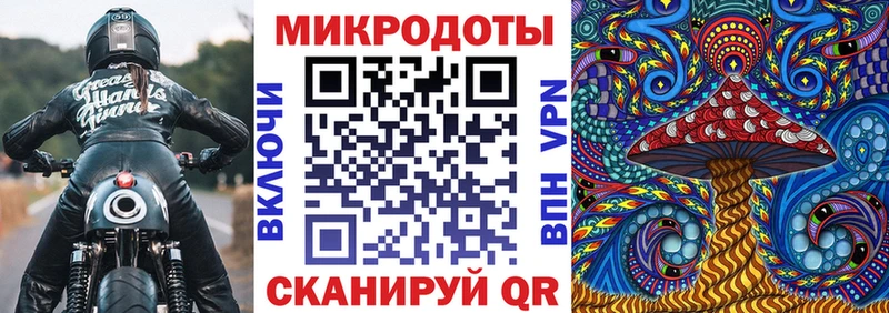 omg онион  Гусиноозёрск  Псилоцибиновые грибы Cubensis 